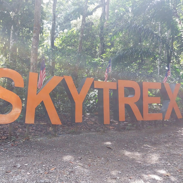 Skytrex Adventure