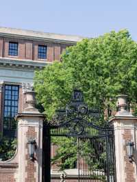 🏛️ Harvard University | 一場難忘的校園之旅 🎓