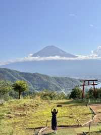 Perfect glimpses of Fuji-yama! 