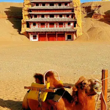 探秘酒泉市鳴沙山：自然與奇跡的交匯