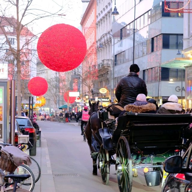 🇦🇹🇦🇹音樂之都維也納🇦🇹🇦🇹
