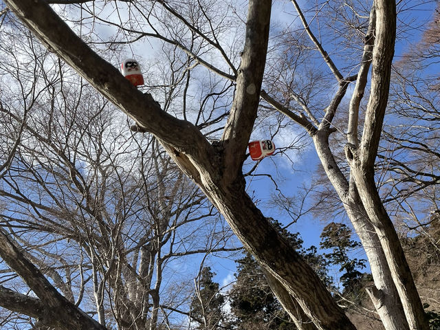 【勝だるま】箕面の勝尾寺