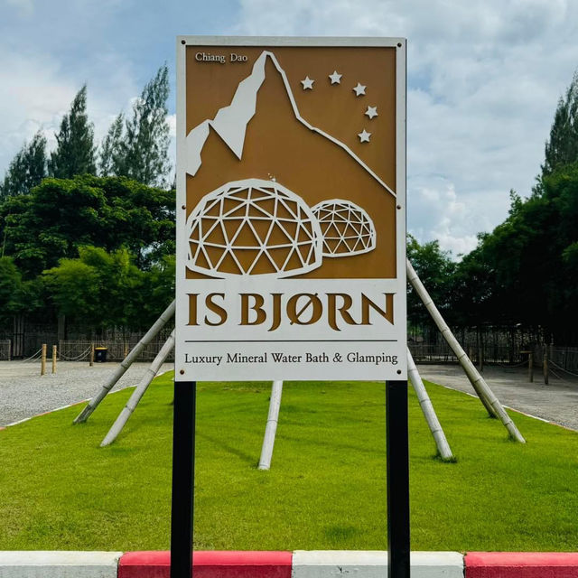 Isbjørn 🥤⛰