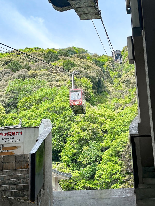 Kikko Park 