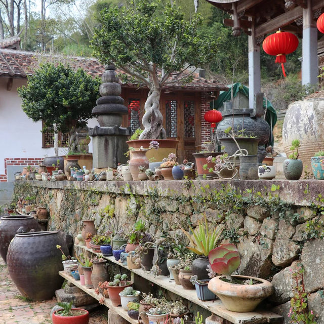 香山教寺：心靈淨土⛩️🌿