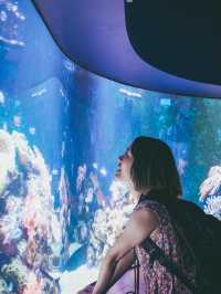 海外のアニメみたいな世界観！ケアンズで行きたい水族館