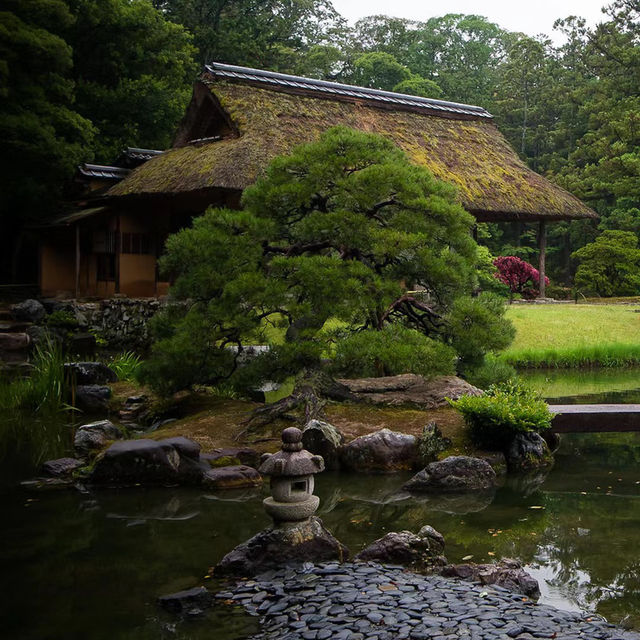 ～屋上庭園～靜靜美麗～