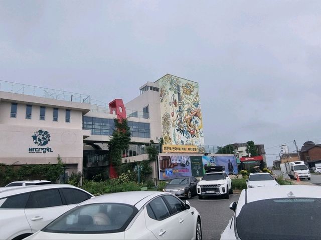 😆🥰속초카페거리 고성 바다뷰 카페 '바다정원'