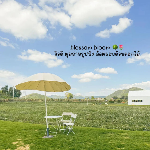#ที่พักglamping ไปเขาใหญ่ห้ามพลาดร้านนี้ ✨ 🌳