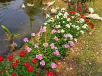 คาเฟ่ใน วัดไทยสไตล์ฝรั่ง นิเวชธรรมประวัติ 