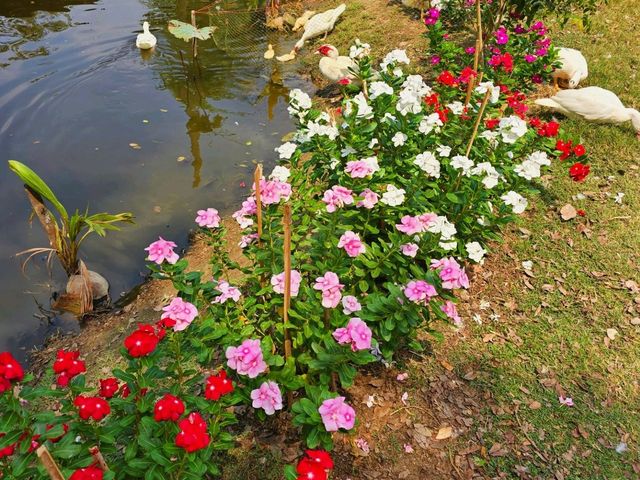 คาเฟ่ใน วัดไทยสไตล์ฝรั่ง นิเวชธรรมประวัติ 