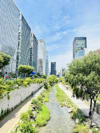 🇰🇷 首爾最方便最有性價比的精品酒店 很公主🎀包早餐！