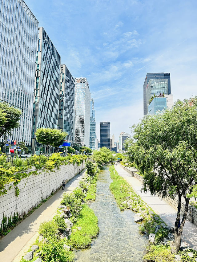 🇰🇷 首爾最方便最有性價比的精品酒店 很公主🎀包早餐！