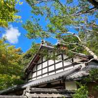 麻生不動院：小橋流水中的日式韻味 🌸🏯