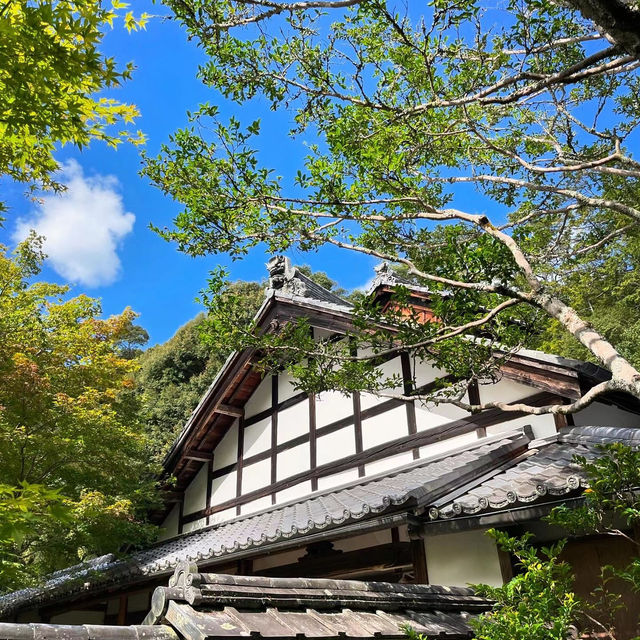 麻生不動院：小橋流水中的日式韻味 🌸🏯