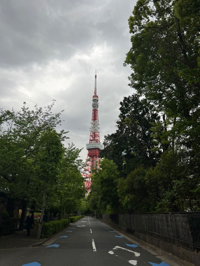 나만 알고싶은 🇯🇵도쿄하루여행코스🖍️예쁜 곳들만 딱 집어 알려드립니다🤲🏻🇯🇵
