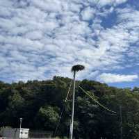 千葉県野田市【コウノトリの里】