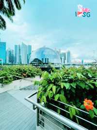 🇸🇬 Berry welcome to Apple MBS