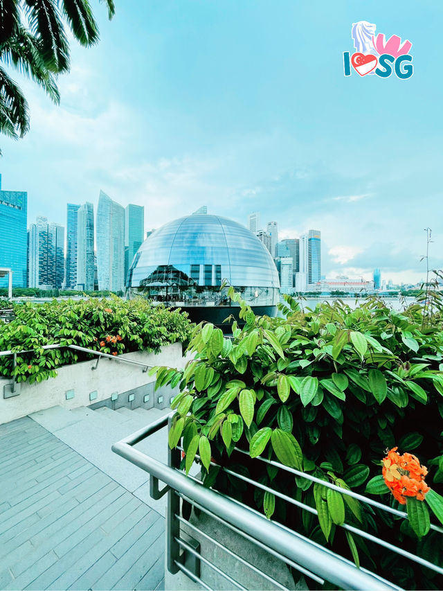 🇸🇬 Berry welcome to Apple MBS