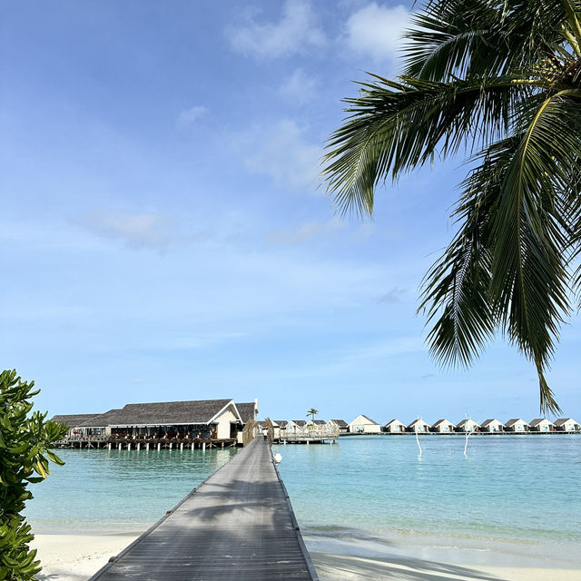 Luxurious hotel in Maldives 