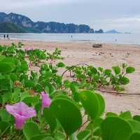 บรรยากาศยามเย็นที่หาดนพฯ