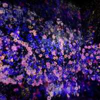 東京麻布台之丘Teamlab