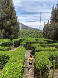 Hotel with amazing view of Lake Toba 