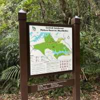 Macritchie treetop walk