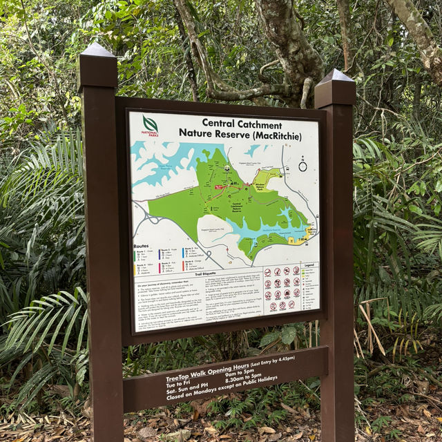 Macritchie treetop walk