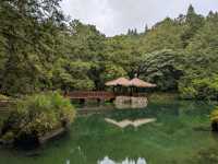 Alishan's Dawn to Dusk Magic