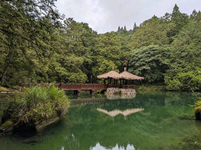 Alishan's Dawn to Dusk Magic