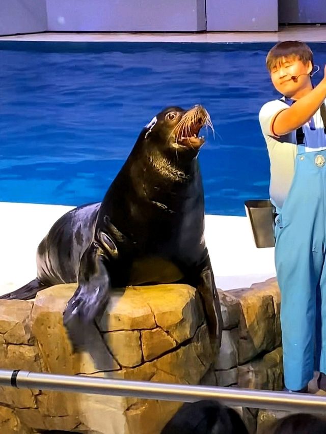 제주 실내 데이트 장소 찾는다면 여기 가세요🐠