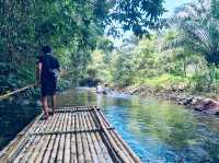 Bamboo Rafting & Sea Turtle in Khao Lak, Phuket 