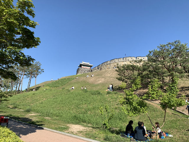 수원 화성행궁 외곽길 산책하기🤎