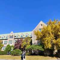 去首爾不能錯過的梨花女子大學銀杏林和紅葉美景