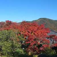 【神奈川】紅葉の時期にオススメスポット！