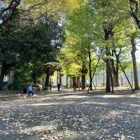 Ueno Park • Tokyo 🇯🇵 Japan
