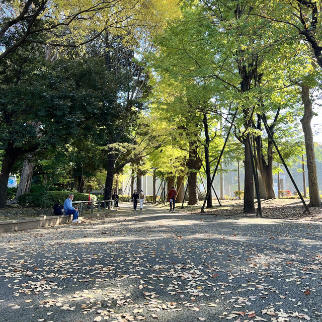 Ueno Park • Tokyo 🇯🇵 Japan