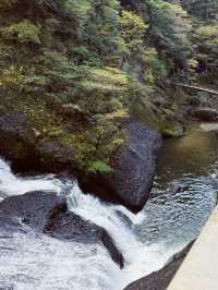 日本🇯🇵袋田瀑布🏞️ 被譽為「日本三名瀑」之一