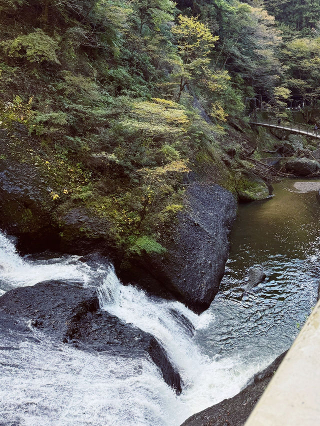 日本🇯🇵袋田瀑布🏞️ 被譽為「日本三名瀑」之一