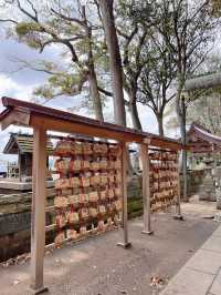 【茨城】金運最強のパワスポ神社