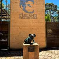 Adelaide Cleland Wildlife Park