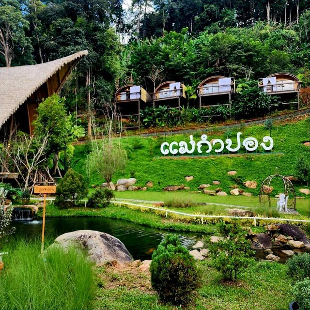 คาเฟ่ลับในป่าลึก พร้อมที่พัก : T Story - แม่กำปอง