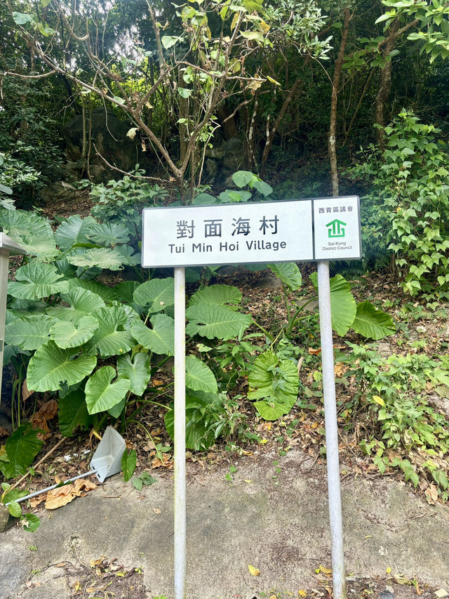 【西貢】蕉坑自然教育徑：星級自然美景，適合初心者的行山徑