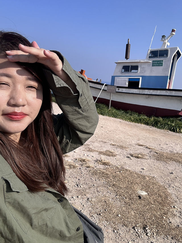 🇰🇷浦項✈️ 砂防紀念公園사방기념공원 