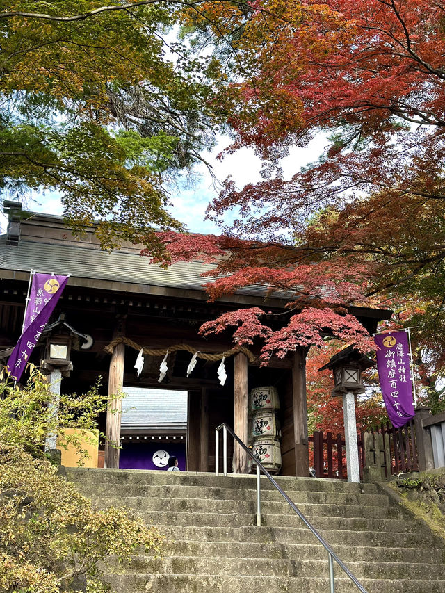 【栃木×佐野】 るろうに剣心のロケ地としても有名  紅葉 猫にも出逢える神社