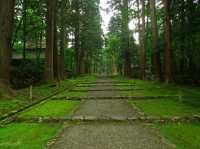 【福井県】兵どもが夢の跡…を感じる苔の名所「平泉寺白山神社」