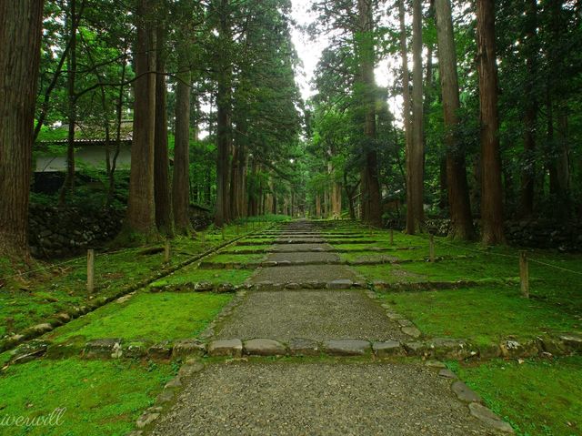 【福井県】兵どもが夢の跡…を感じる苔の名所「平泉寺白山神社」