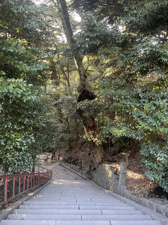 【神奈川県/鎌倉　生命力を感じる”大銀杏”の紅葉が美しい『鶴岡八幡宮』】