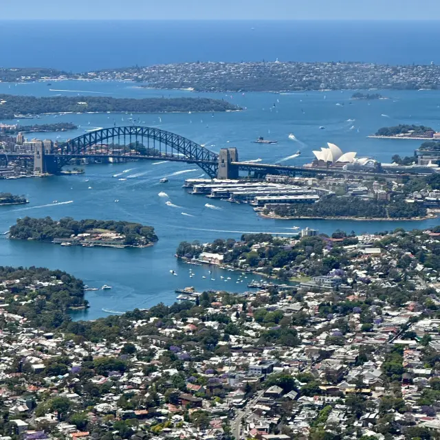 雪梨！我又來了。